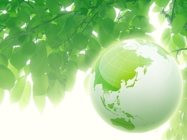 病院治療と免疫療法の相乗効果？