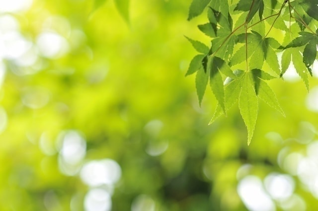 人間は自然の中で生きている