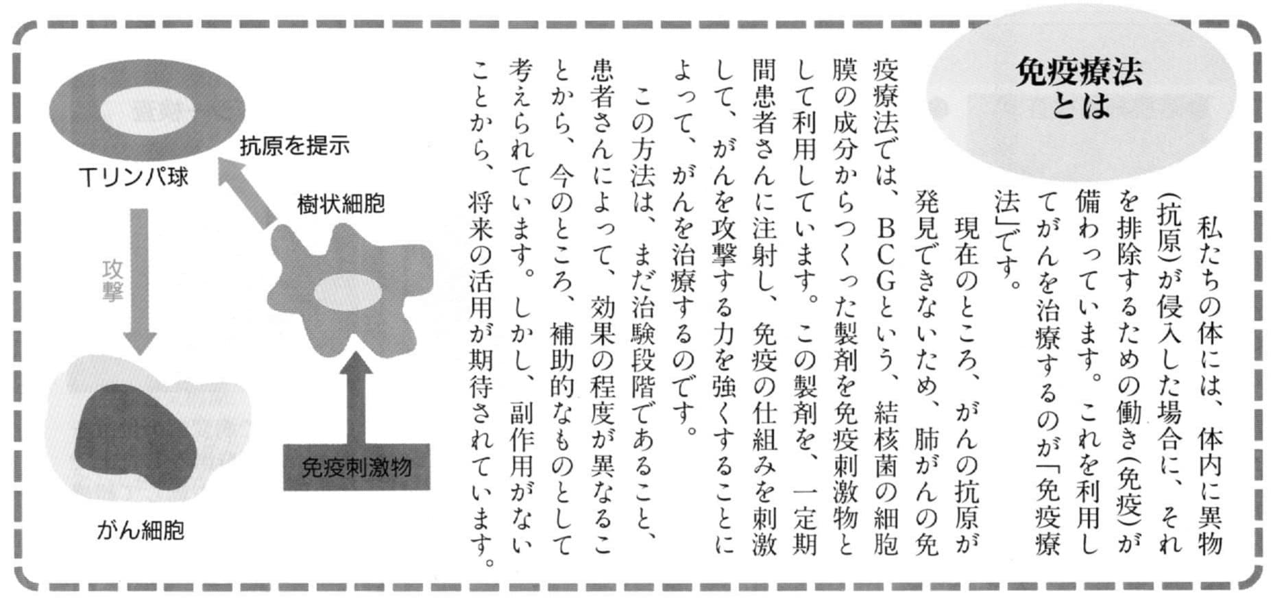 肺がんの免疫療法