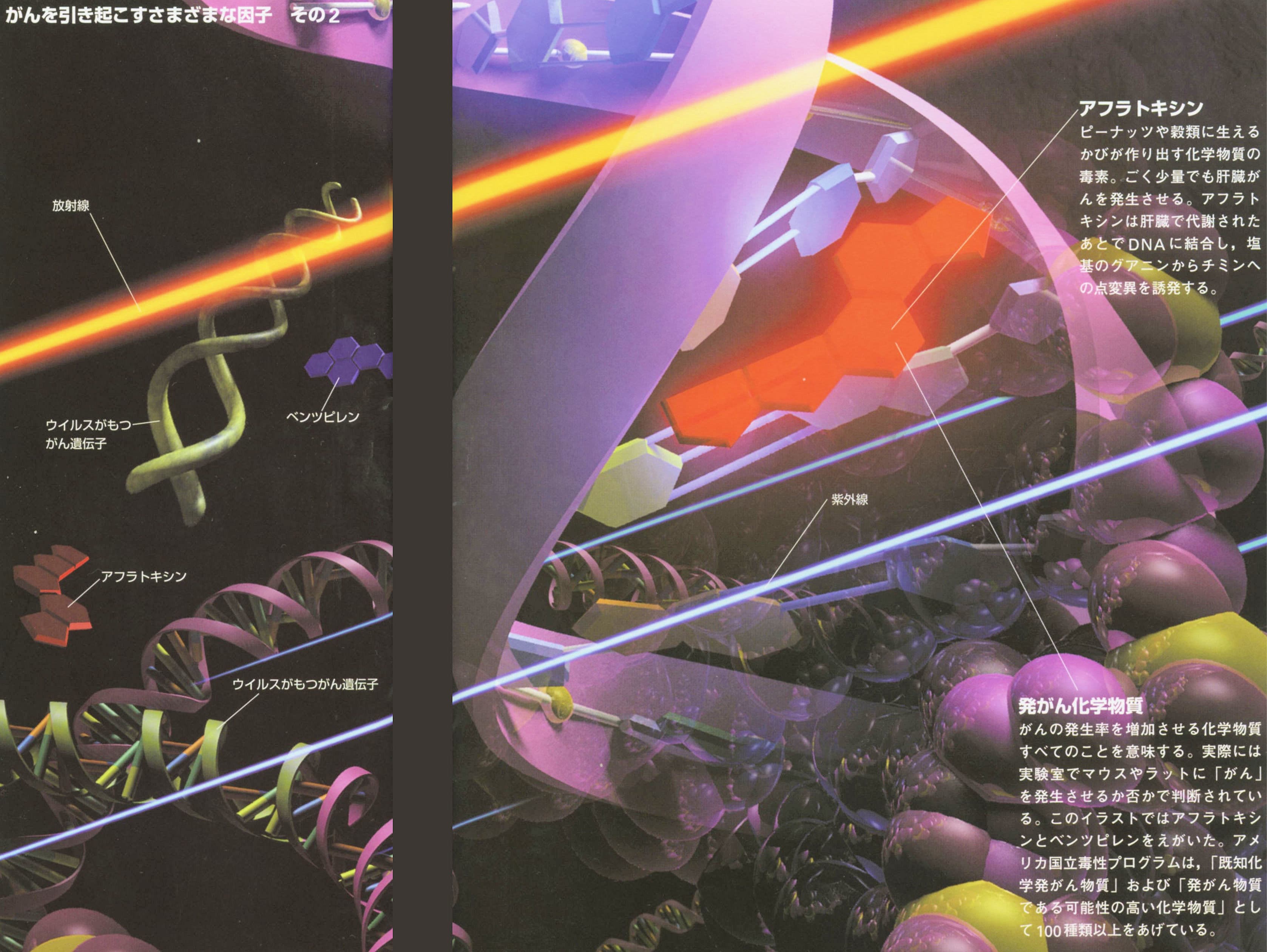 癌を引き起こす様々な因子2（難病末期癌からの生還）