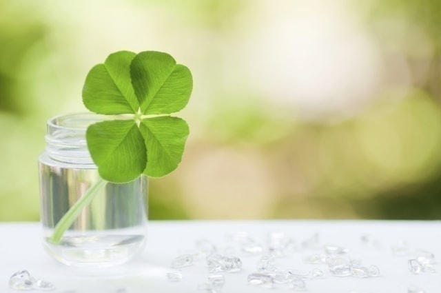 末期癌克服には希望と勇気と正しい知識が必要