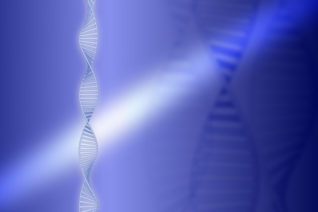 免疫力で癌を叩く？