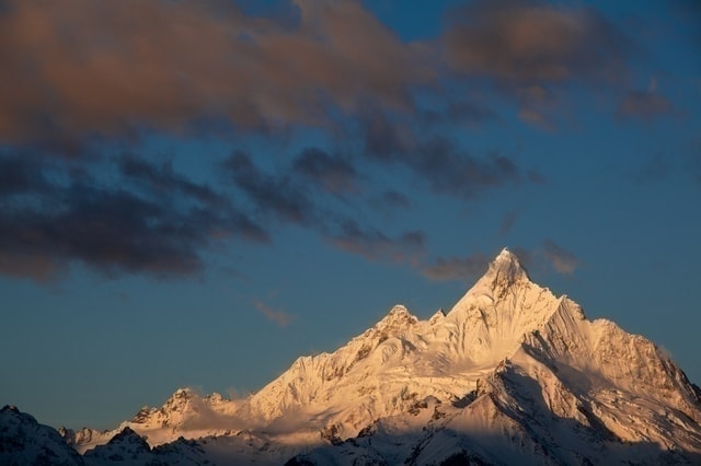 免疫強化物質とのご縁