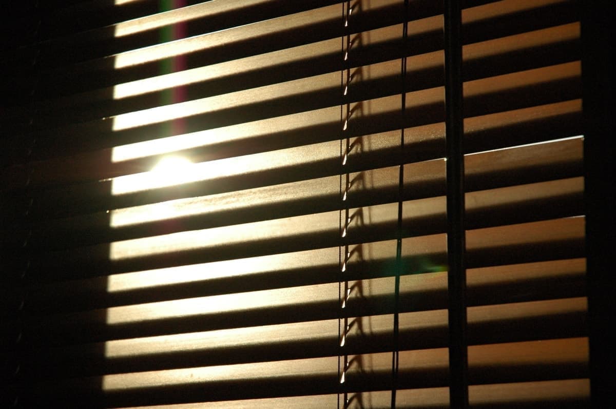 癌細胞が棲み難い身体を取り戻す